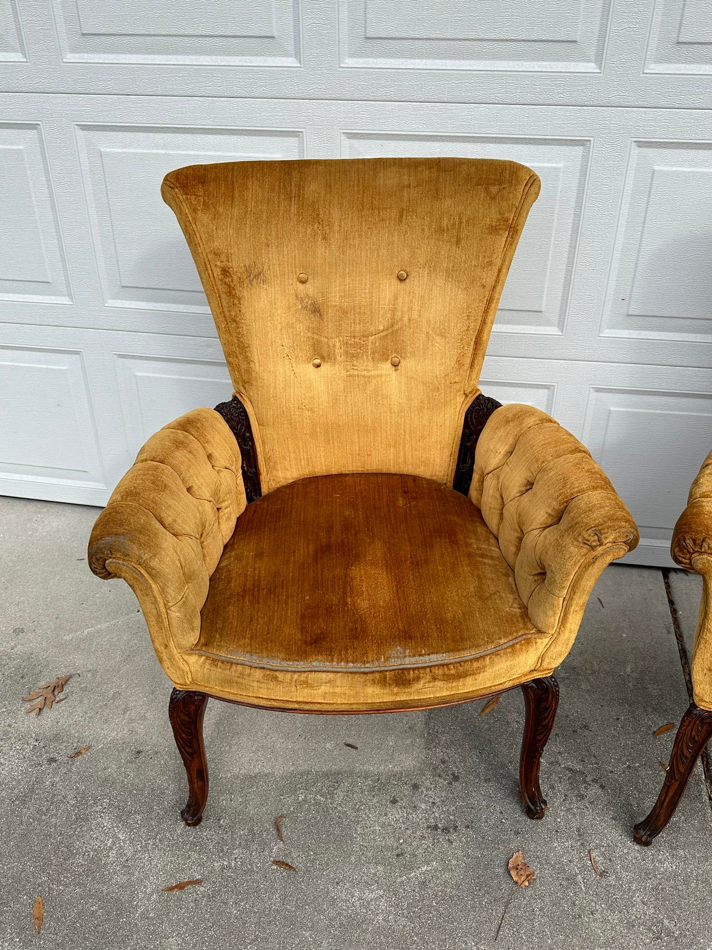 1940s-50s Pair of Golden Velvet Hollywood Regency Button Back Chairs With Wood Accents